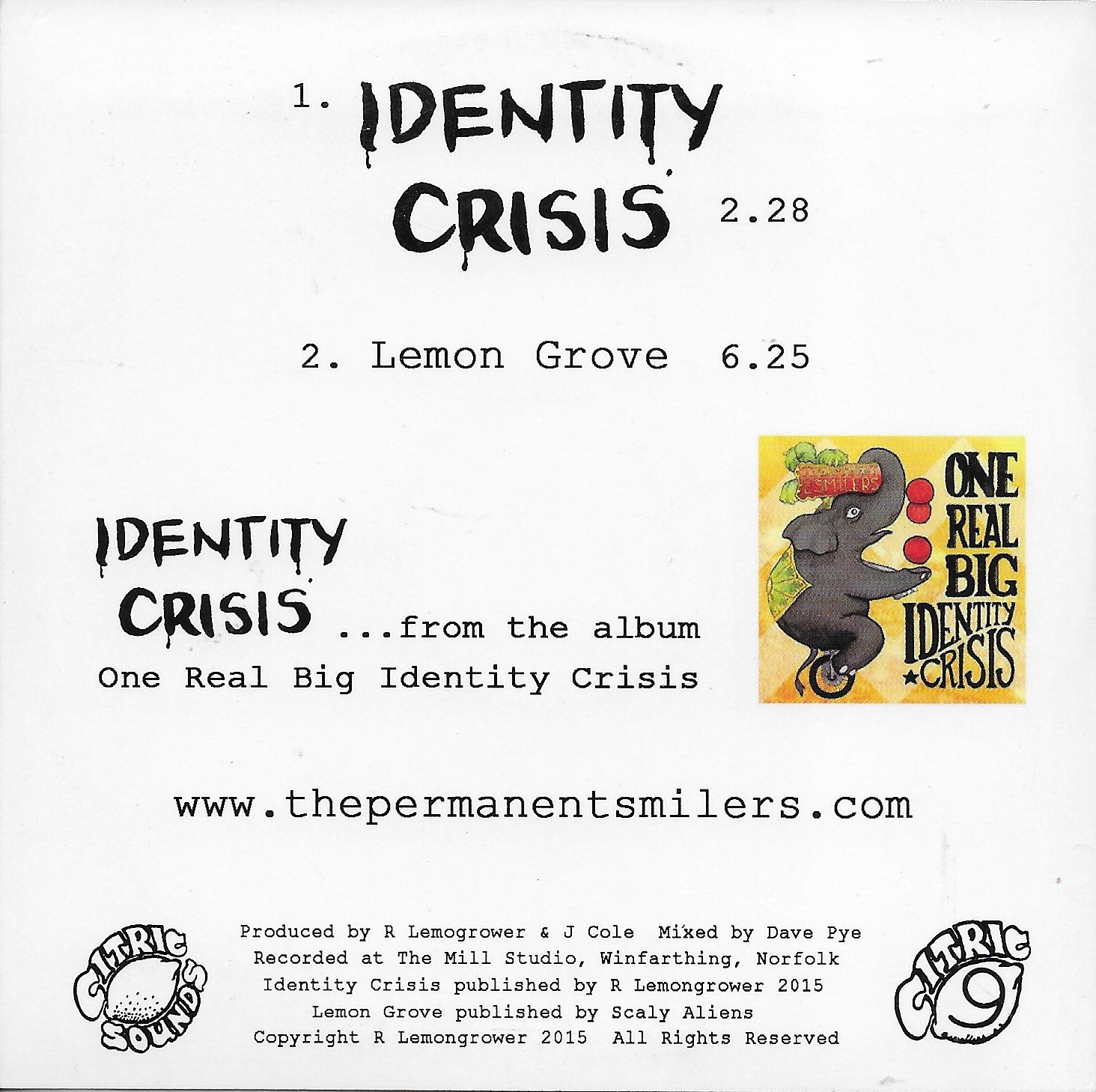 Picture of CITRIC 9 Identity crisis by artist The Permanent Smilers 